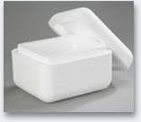 Foam Containers