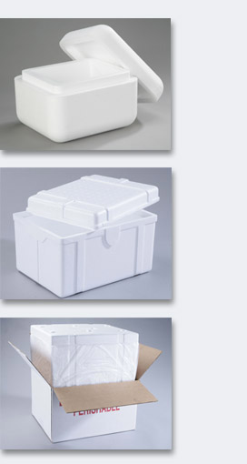 Foam Containers
